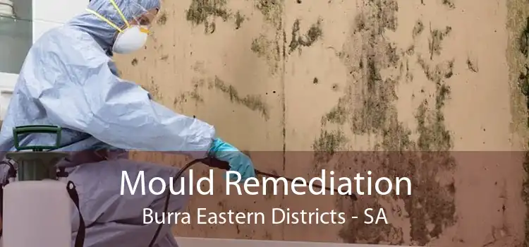 Mould Remediation Burra Eastern Districts - SA