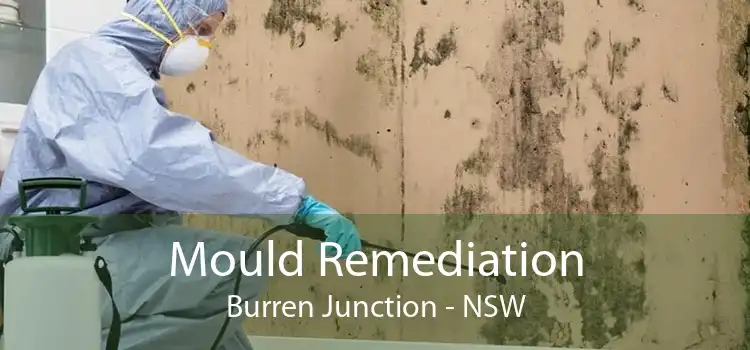 Mould Remediation Burren Junction - NSW
