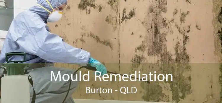 Mould Remediation Burton - QLD