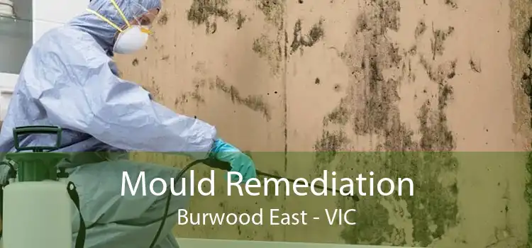 Mould Remediation Burwood East - VIC