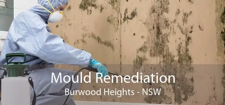 Mould Remediation Burwood Heights - NSW
