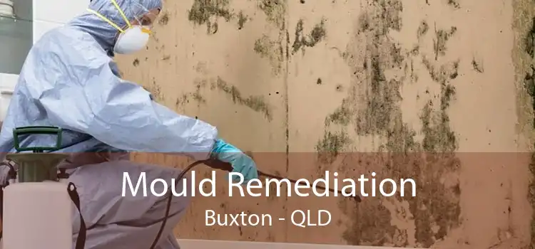 Mould Remediation Buxton - QLD