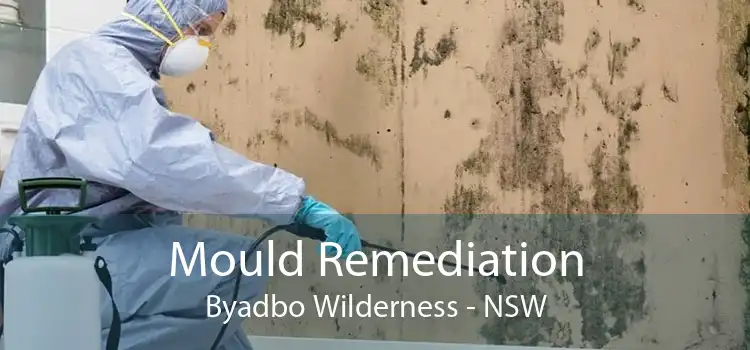 Mould Remediation Byadbo Wilderness - NSW