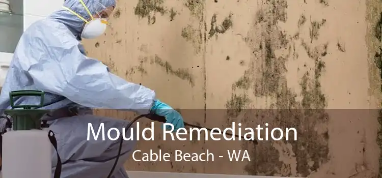 Mould Remediation Cable Beach - WA