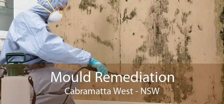 Mould Remediation Cabramatta West - NSW