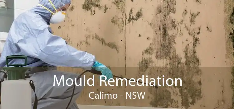 Mould Remediation Calimo - NSW