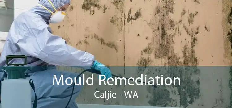 Mould Remediation Caljie - WA