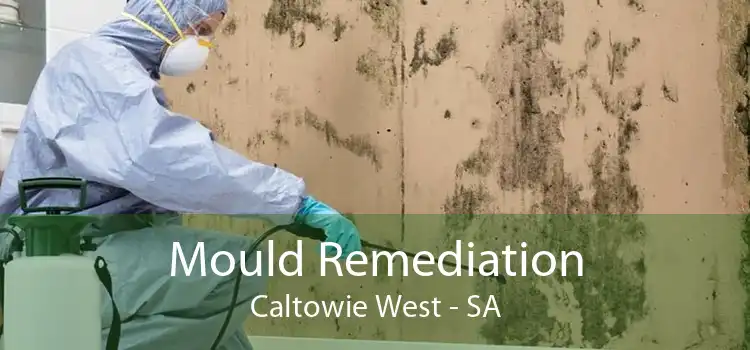 Mould Remediation Caltowie West - SA