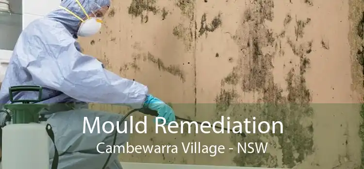 Mould Remediation Cambewarra Village - NSW
