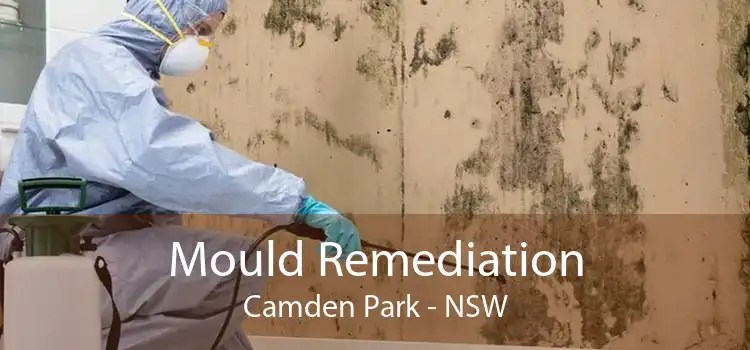 Mould Remediation Camden Park - NSW