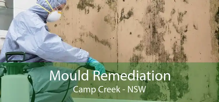 Mould Remediation Camp Creek - NSW