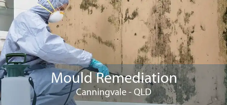 Mould Remediation Canningvale - QLD