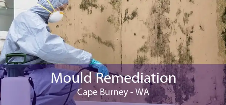 Mould Remediation Cape Burney - WA