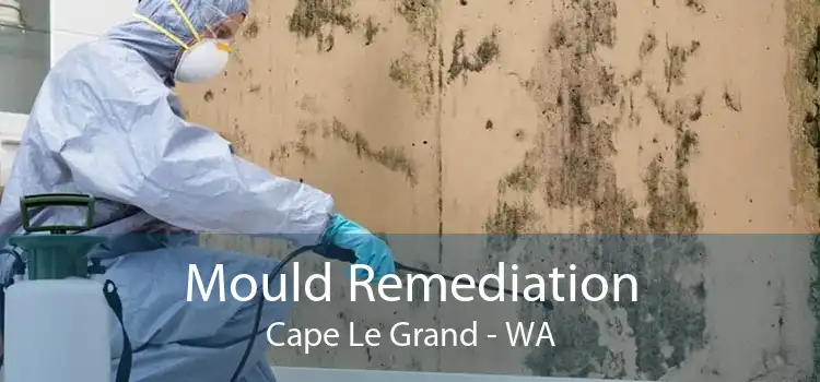 Mould Remediation Cape Le Grand - WA