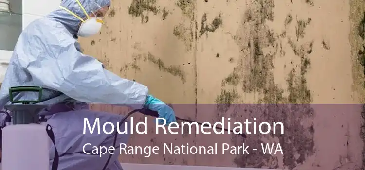 Mould Remediation Cape Range National Park - WA
