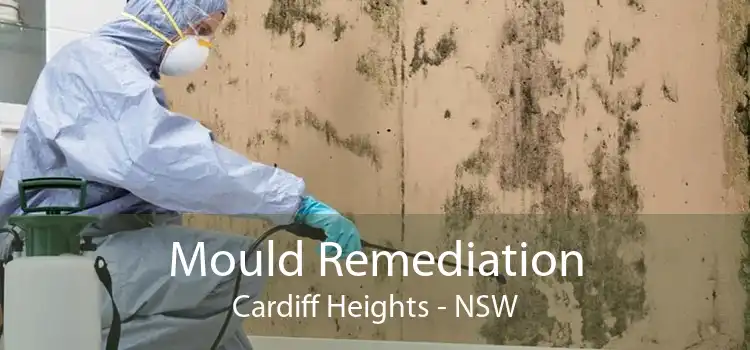 Mould Remediation Cardiff Heights - NSW
