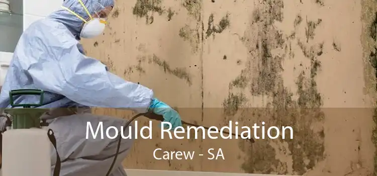 Mould Remediation Carew - SA