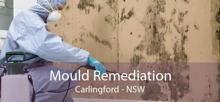 Mould Remediation Carlingford - NSW