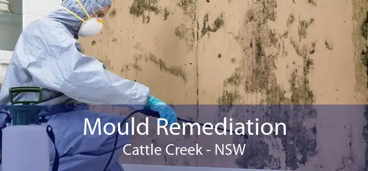 Mould Remediation Cattle Creek - NSW