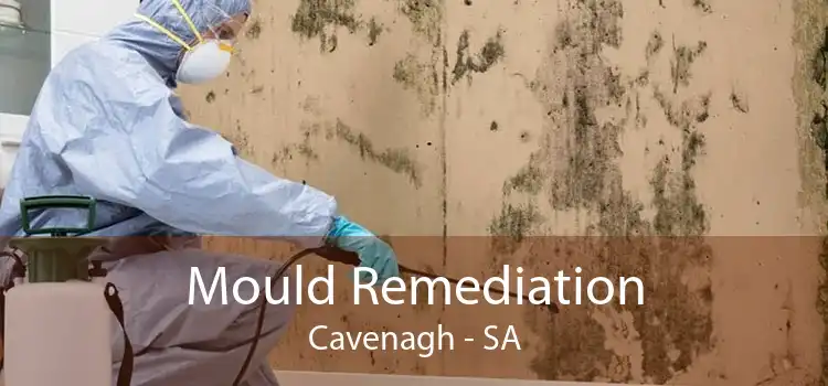Mould Remediation Cavenagh - SA