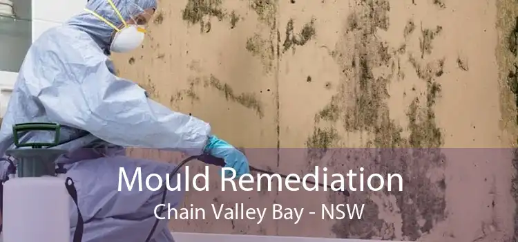Mould Remediation Chain Valley Bay - NSW