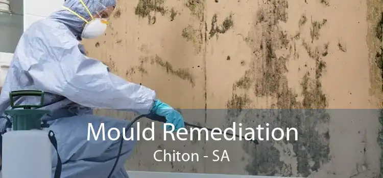 Mould Remediation Chiton - SA