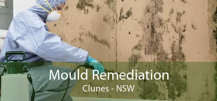 Mould Remediation Clunes - NSW