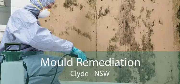 Mould Remediation Clyde - NSW