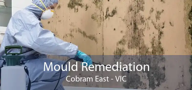 Mould Remediation Cobram East - VIC
