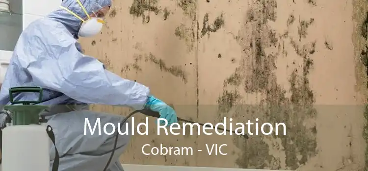 Mould Remediation Cobram - VIC