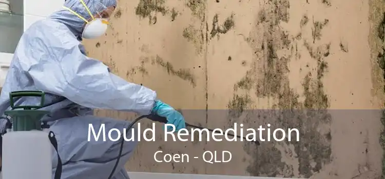 Mould Remediation Coen - QLD