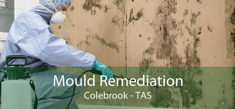 Mould Remediation Colebrook - TAS
