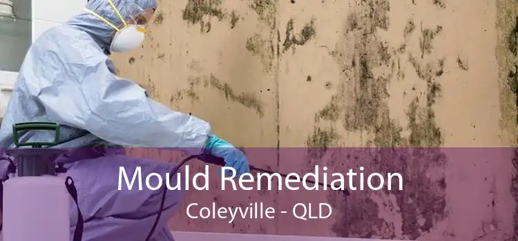 Mould Remediation Coleyville - QLD