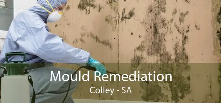 Mould Remediation Colley - SA