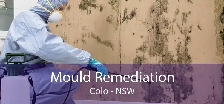 Mould Remediation Colo - NSW
