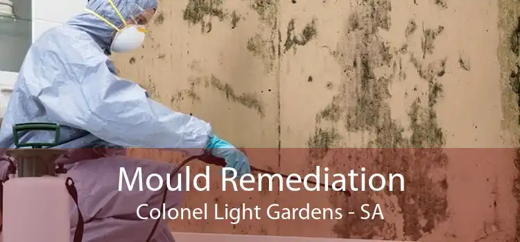 Mould Remediation Colonel Light Gardens - SA