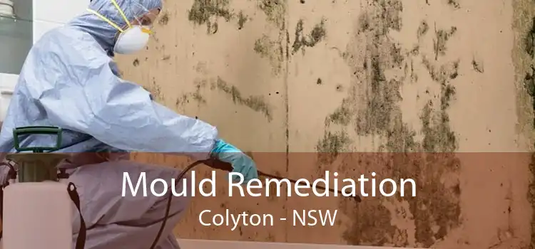 Mould Remediation Colyton - NSW