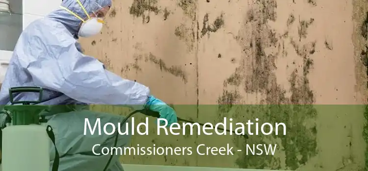 Mould Remediation Commissioners Creek - NSW