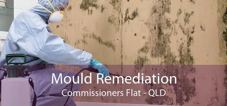 Mould Remediation Commissioners Flat - QLD