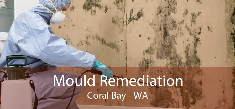 Mould Remediation Coral Bay - WA