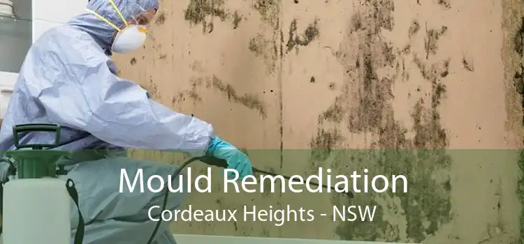 Mould Remediation Cordeaux Heights - NSW