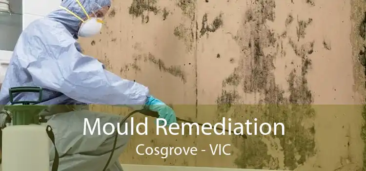 Mould Remediation Cosgrove - VIC