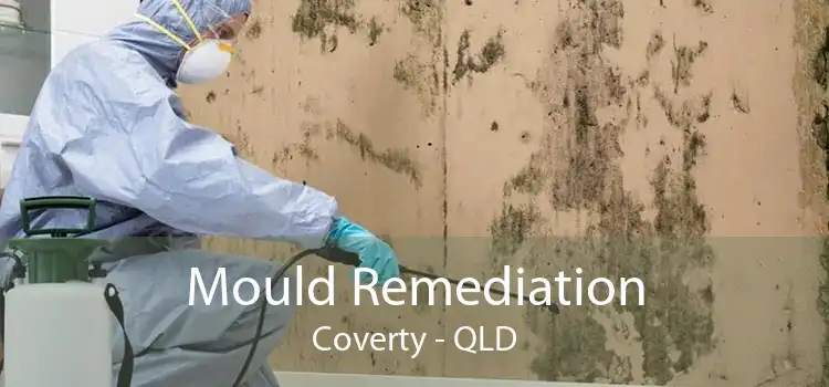Mould Remediation Coverty - QLD