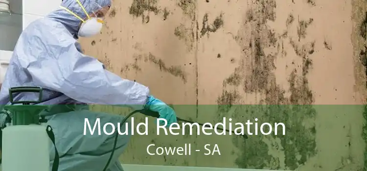 Mould Remediation Cowell - SA