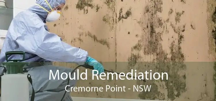 Mould Remediation Cremorne Point - NSW