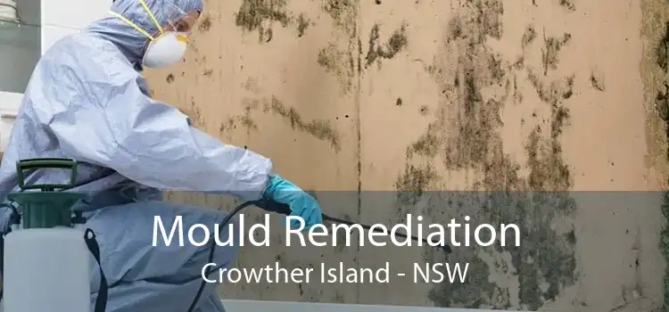 Mould Remediation Crowther Island - NSW