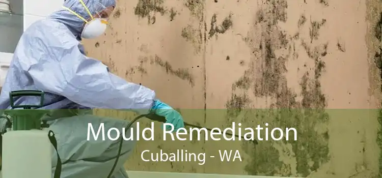 Mould Remediation Cuballing - WA