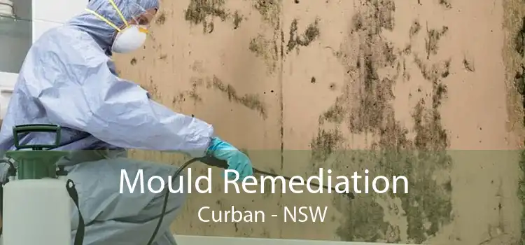 Mould Remediation Curban - NSW