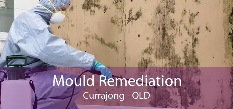 Mould Remediation Currajong - QLD