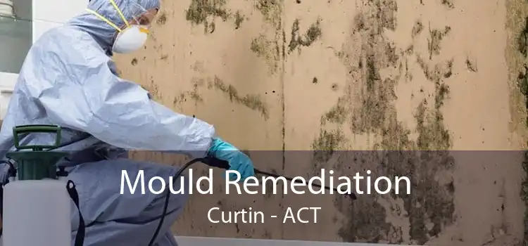 Mould Remediation Curtin - ACT